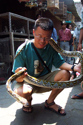 Don Mah holding a snake