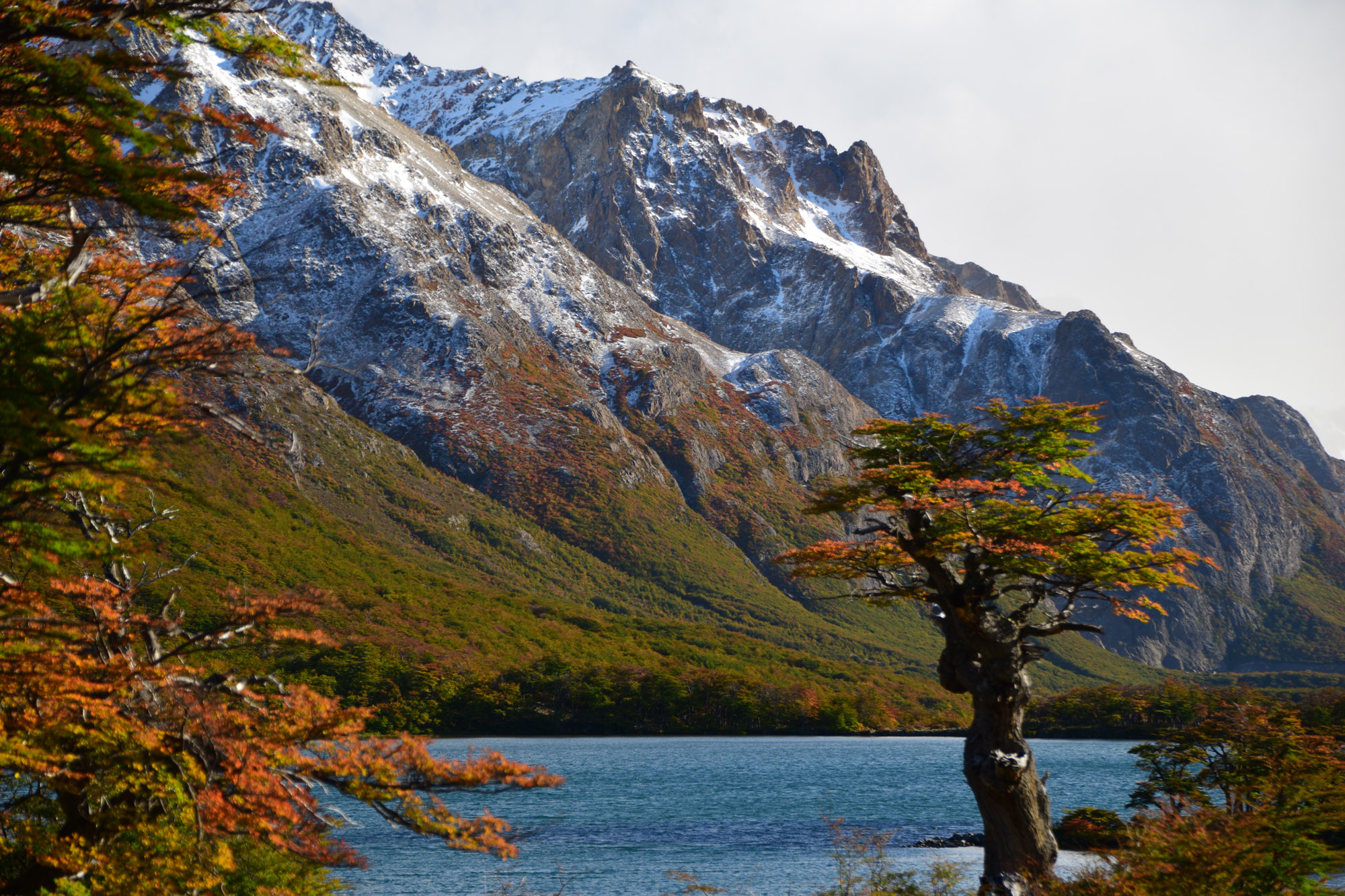 Fall in Patagonia