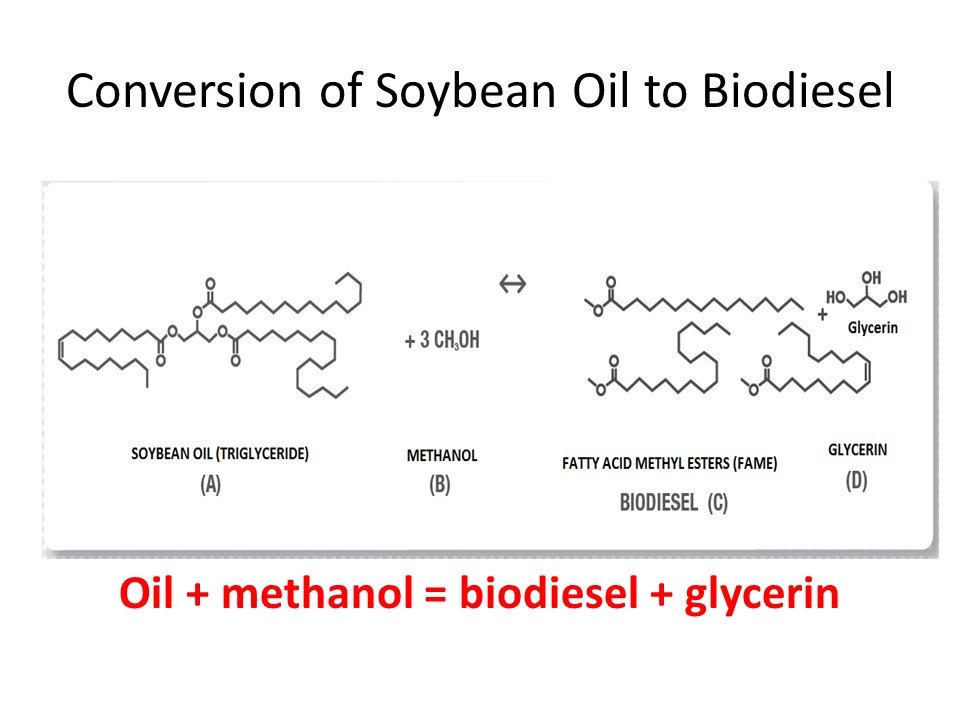 esterfication.jpg