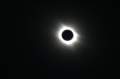 totalsolareclipse3_small.jpg